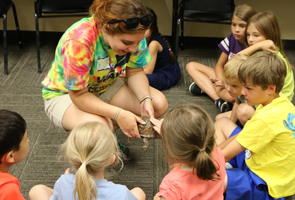 Guide to Summer Camps