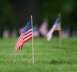 Getting Out for Memorial Day
