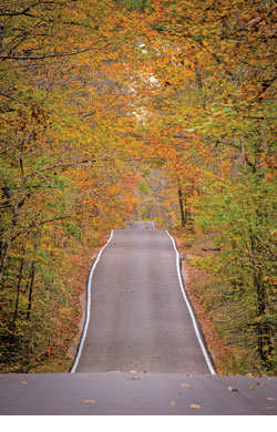  The Season to Get Away