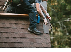  Building Trust