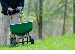  7 Tips for a Healthy Lawn This Summer