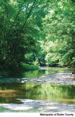 The Great Outdoors