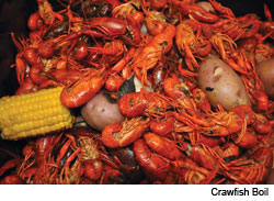  New Orleans Meets Cincy