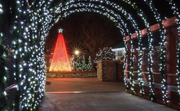 Start a Family Tradition