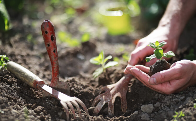 4 Arbor Day Events