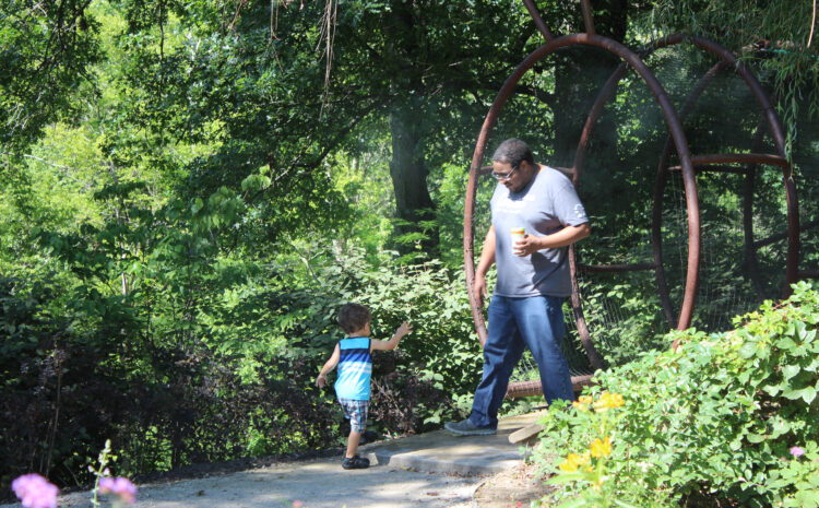 6 Local Wildlife Events