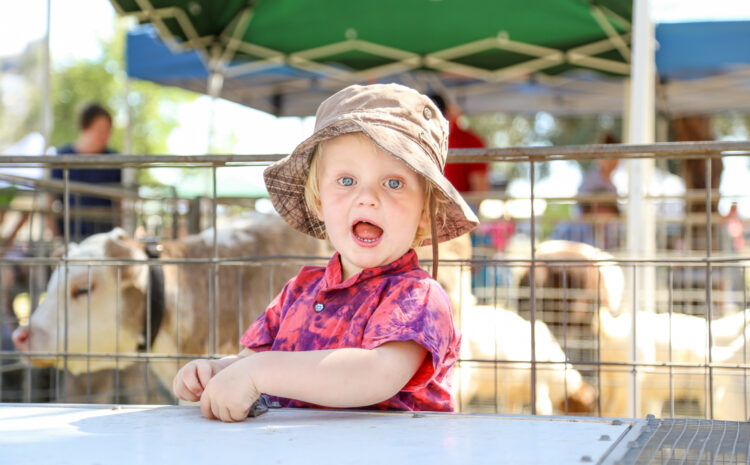 Local Fairs Connect Present with Past