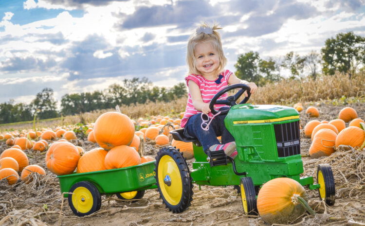  Head to the Pumpkin Patch