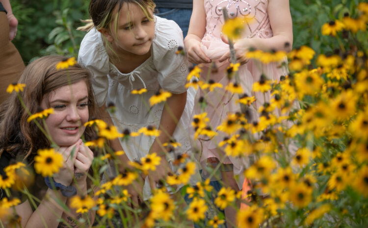  Changes Coming to Great Parks