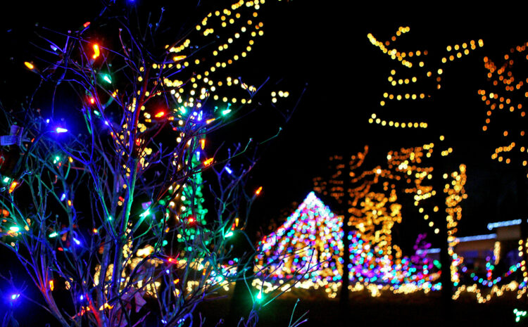 Light Up the Holiday