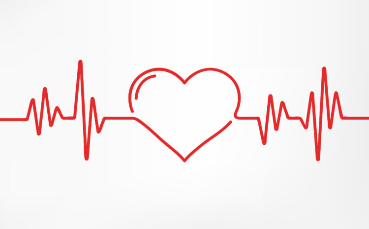  Your Heart Questions Answered