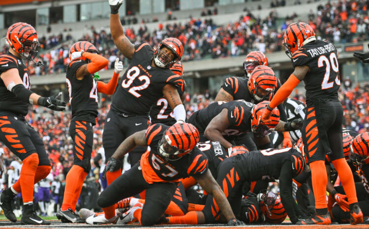  Lighting Up with the Bengals