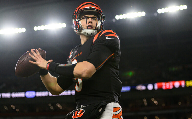  Bengals Ready to Strike Back