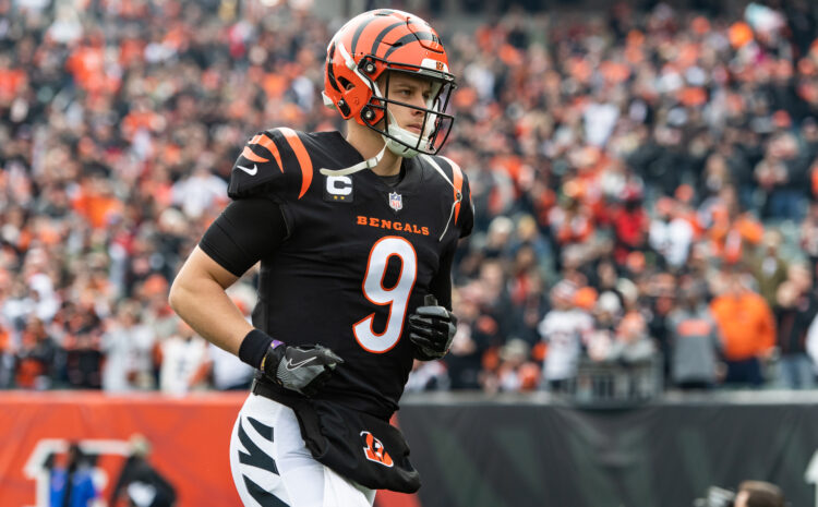  The Bengals Hold On