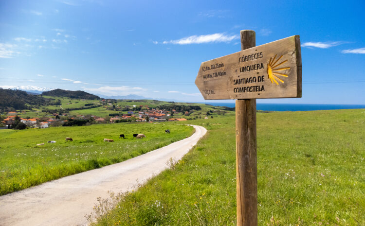  Camino Confidential