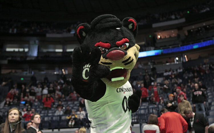  The Bearcats are Back