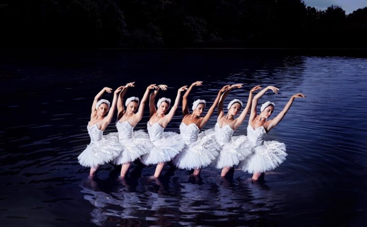  Swan Lake Returns