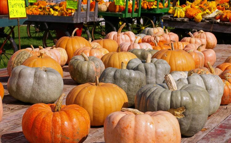  Fall Crafting Starts Now 