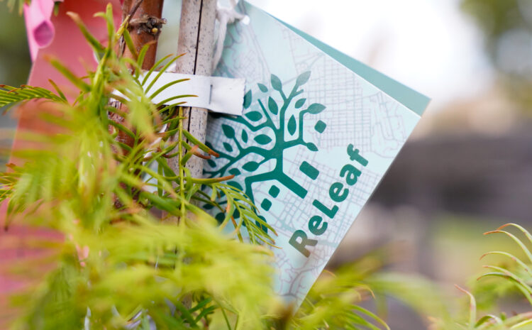  Free Trees and the Benefit for Cincinnati  